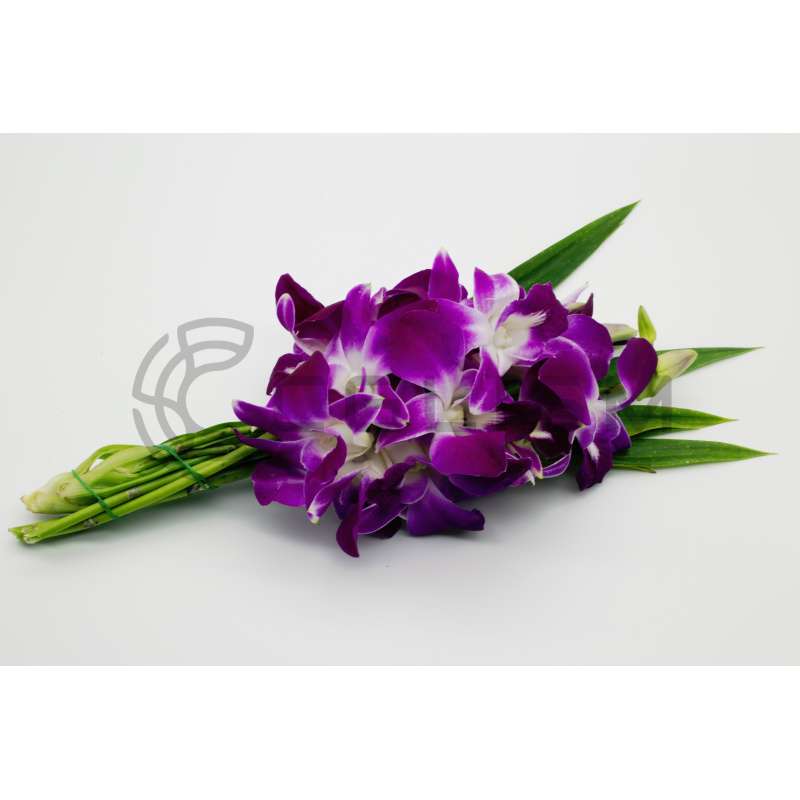 id0206_Flowers